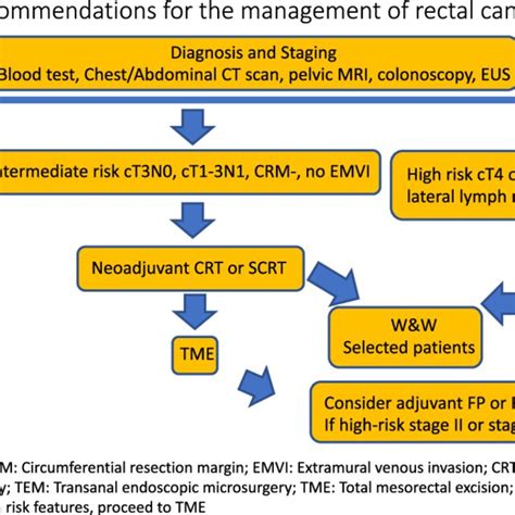 Recommendations For The Management Of Rectal Cancer Download