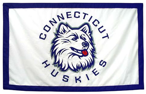 Applique Conference and Team Banners for Athletics: New England Flag