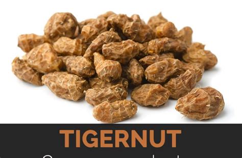 Nutritional Value Of Tigernut Milk Blog Dandk