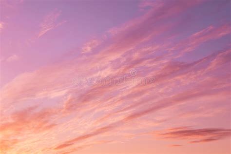 Dramatic Soft Sunrise Sunset Pink Violet Sky With Clouds Background