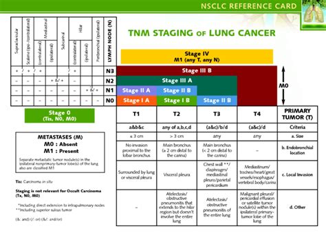 Lung Cancer Tnm Staging Chart Sexiz Pix