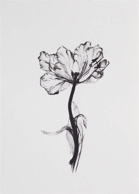Flowers are nature's gift to mankind, even though their life span is very drawing a simple round and some petal shapes around the circle is what we remember drawing when we were children. 42 Artistic Charcoal Painting and Sketches for Beginners
