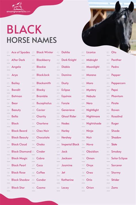 Black Horse Names 866 Great Choices For Your Dark Beauty