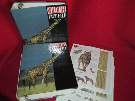 Wildlife Fact File Binders Etsy Wildlife Facts Animal Facts For