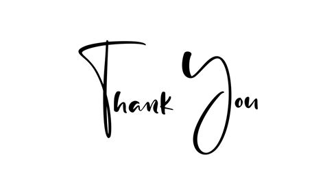 Thank You Hand Drawn Calligraphic Lettering Text Handwritten Vector