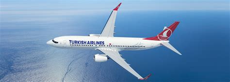 myš nebo krysa měkký kůže boeing 737 800 turkish airlines seat map