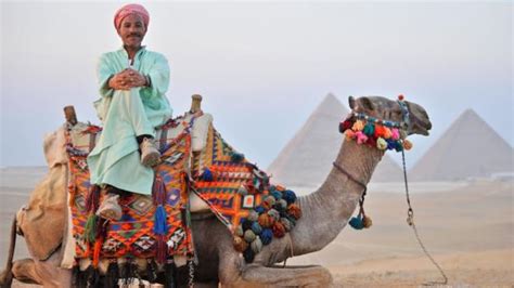 Bbc Travel The Perfect Trip Egypt