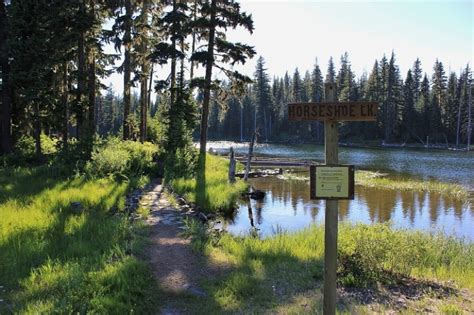 Horseshoe Lake Campground Recreation Images And Descriptions
