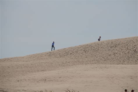 Wallpaper Landscape Sea Sand Beach Desert Dune Denmark Danmark