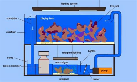 Harga filter aquarium ini sekitar rp. Keindahan Akuarium dan Penghuninya: SISTEM FILTER