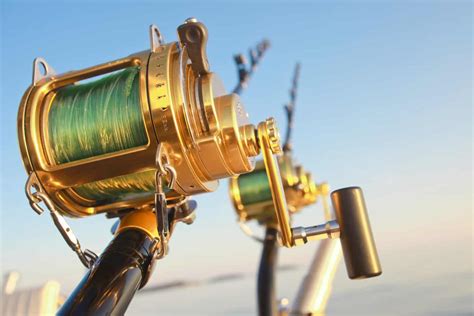 Best Saltwater Reels Top Spinning And Baitcasting Options 2024
