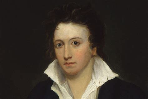 Shelley Poet Of A Drowned Landscape Welsh Country
