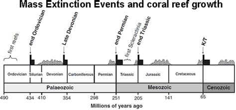 Extinction Events On Earth Timeline The Earth Images Revimageorg