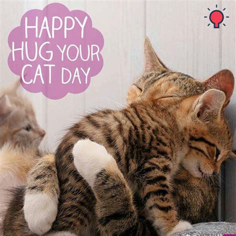 Hug Your Cat Day Custom Essay Writing Service Writing Services Hug