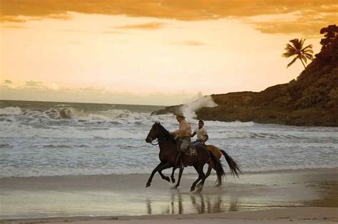 Horse Riding Holiday In Bahia Beach Brazil