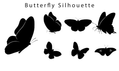 Ensemble De Silhouette De Papillons Illustration Vectorielle Vecteur
