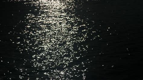 Moonlight On Water Moonlight Water At Night Stock Footage Sbv 312331487