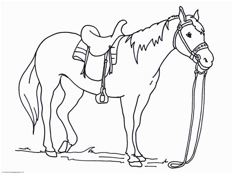 Free Printable Coloring Page Horse Great - Coloring Pages - Coloring Home