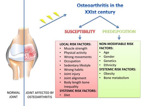 ijms free full text osteoarthritis in the xxist century risk factors and behaviours that