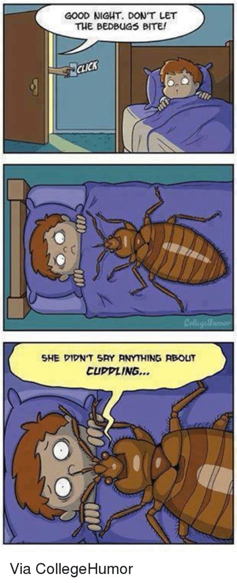 25 Best Bed Bug Bites Memes Bug Bite Memes