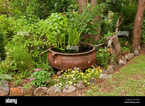 Ornate Garden Pond Large Rusty Cauldron As A Water Feature With