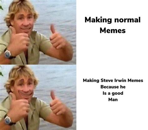 We Need More Of These Steve Irwin Memes Rwholesomememes