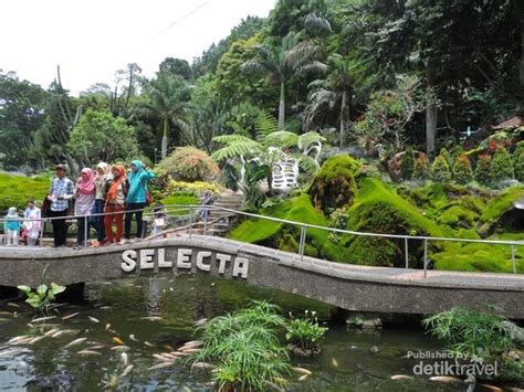 pb orang lain ditolong, tetapi keluarga sendiri ditelantarkan pb lebih banyak mengindahkan urusan orang lain dp urusan sendiri. Pulang ke Malang, Wajib Liburan ke Selecta!