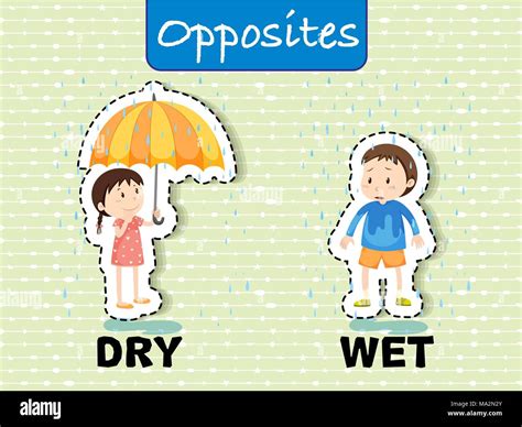 Opposite Words For Dry And Wet Illustration Stock Vector Image And Art