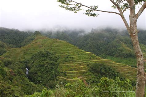 Traveling Morion Travel Photography Ifugao Province Breathtaking Banaue Rice Terraces