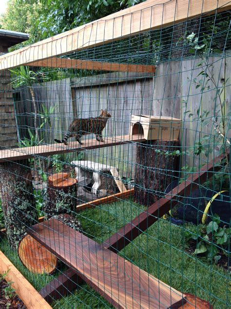 Cat Enclosure Walnut Perches With Oak Tree Stumps Cat Enclosure