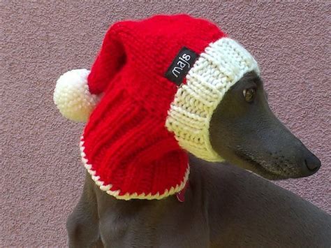 Santa Dog Hat Christmas Dog Hat X Mas Dog Hat Dog Hat