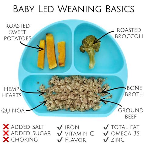 Baby weaning foods by age. BLW: Safe First Finger Foods — Veggies & Virtue | Baby ...