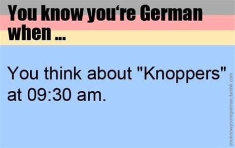 Funny German Quotes Shortquotescc