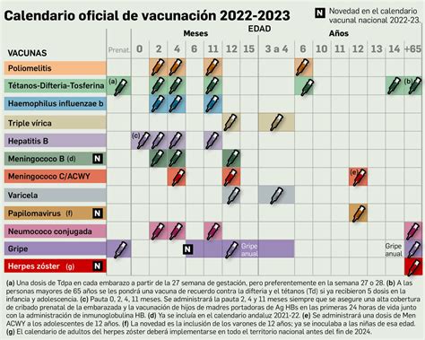 Calendario De Vacunación De Andalucía 2023 ¿quiénes Deben Vacunarse