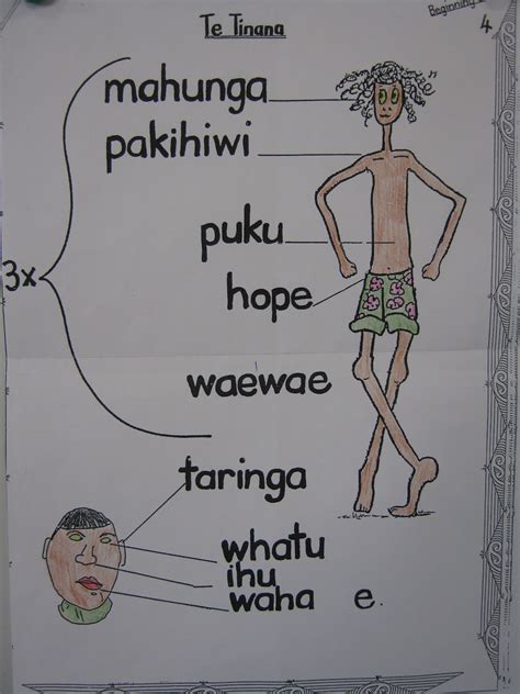 Te hiringa i te mahara permutations 2 kia mahara ake; E4 Learning Team: Maori Language Week - Te Tinana