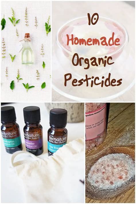 10 Homemade Organic Pesticides Shtf Prepping And Homesteading Central