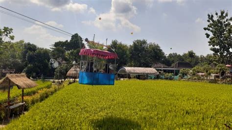 Kata ini cukup populer tidak hanya di inggris, namun juga di indonesia, seringnya digunakan oleh sepasang kekasih untuk memanggil pasangannya. Unik Banget, Taman Wisata di Tengah Sawah yang Hits di Madiun. Dibikin Buat Tempat Main Anak-anak!