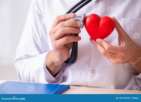 The Male Doctor Cardiologist Holding Heart Model Stock Image Image Of