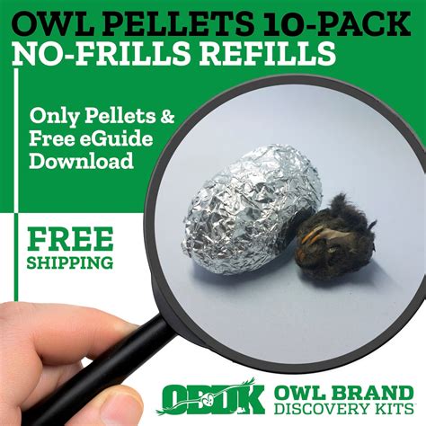 Us Only 10 Medium Barn Owl Pellets Owl Brand Discovery Kits