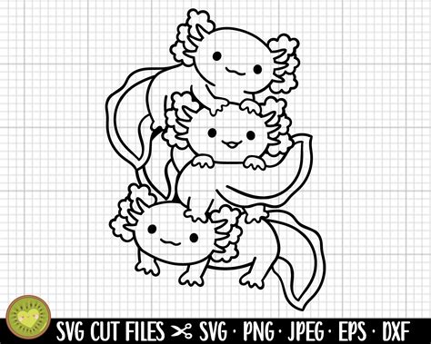 Axolotl Svg Axolotl Png Axolotl Clipart Commercial Use Etsy Uk