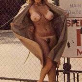 Dyan cannon topless
