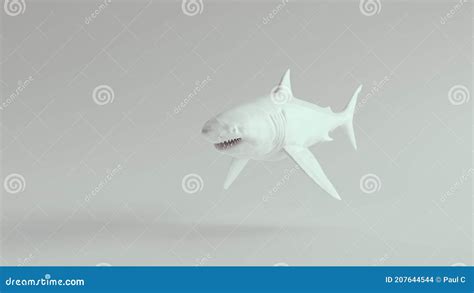 Great White Shark Pure White Stock Illustration Illustration Of Large