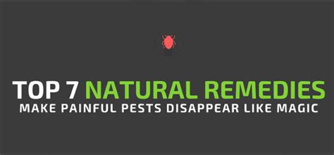 Place a guard over your chimney so that the squirrels can't enter. Top 7 Natural Remedies - Make Painful Pests Disappear Like ...