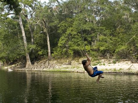 Research Finding Over The Water Rope Tree Swings Fraught With Danger