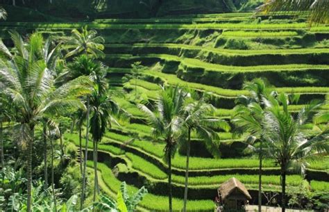 Selanjutnya ada sebuah rumah besar di pedesaan yang berada di luar negri yang dimana ditempat ini juga kita bisa merasakan kedamaian dan ketenangan dengan nuansa pedesaan di eropa yang sangat klasik dan tentunya akan sangat menyenangkan jika anda bisa berlibur di desa ini. 57 gambar pemandangan alam indah | laut, pantai, gunung ...