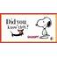 Did You Know That Snoopy The Character Of Peanuts Is First Ever 