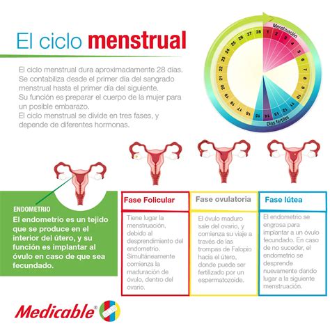 El Ciclo Menstrual Medicable