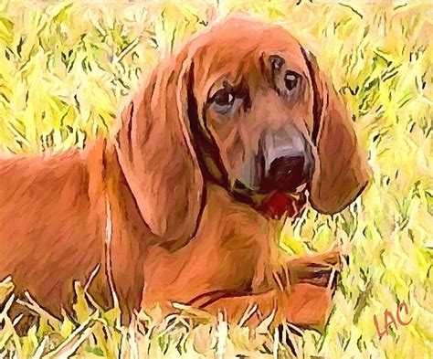 Redbone Coonhound Painting By Doggy Lips Fine Art America