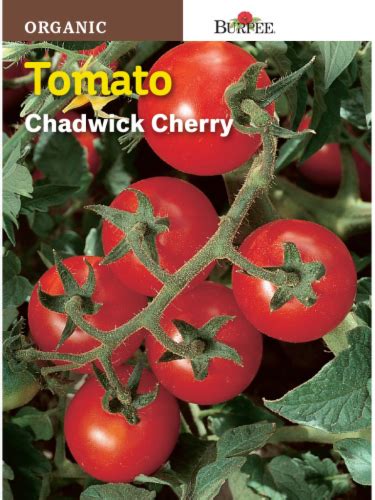 Burpee Chadwick Cherry Organic Tomato Seeds Red 1 Ct Fred Meyer