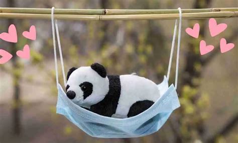 213 Cutest Panda Names For Toys Pets Games Etc